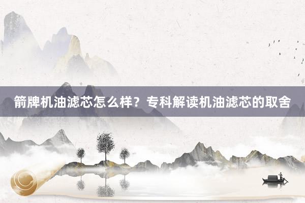 箭牌机油滤芯怎么样？专科解读机油滤芯的取舍